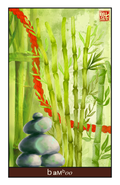 Bamboo Oil