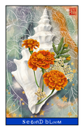 PRE-ORDER: Second Bloom