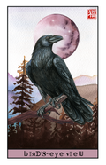 PRE-ORDER: Bird's-Eye View