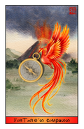 Fortune's Compass