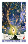PRE-ORDER 9/16: Surprise Oil Bundle